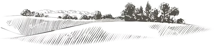't Landschap tekening